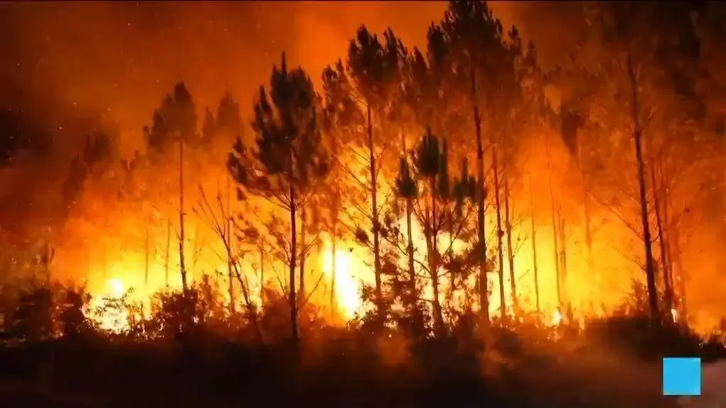 France's Unprecedented Wildfires: A Confluence of Climate and History