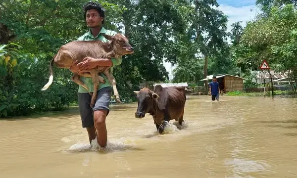 World Bank’s Pullback on Climate Goals Threatens India’s Rural Poor
