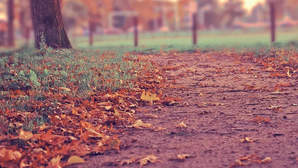 Neighborhood Deprivation Leaves Measurable Marks on Brain Health